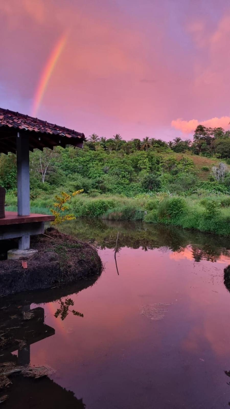 Laluna Eco Resort Pvt Ltd Beruwala Extérieur photo